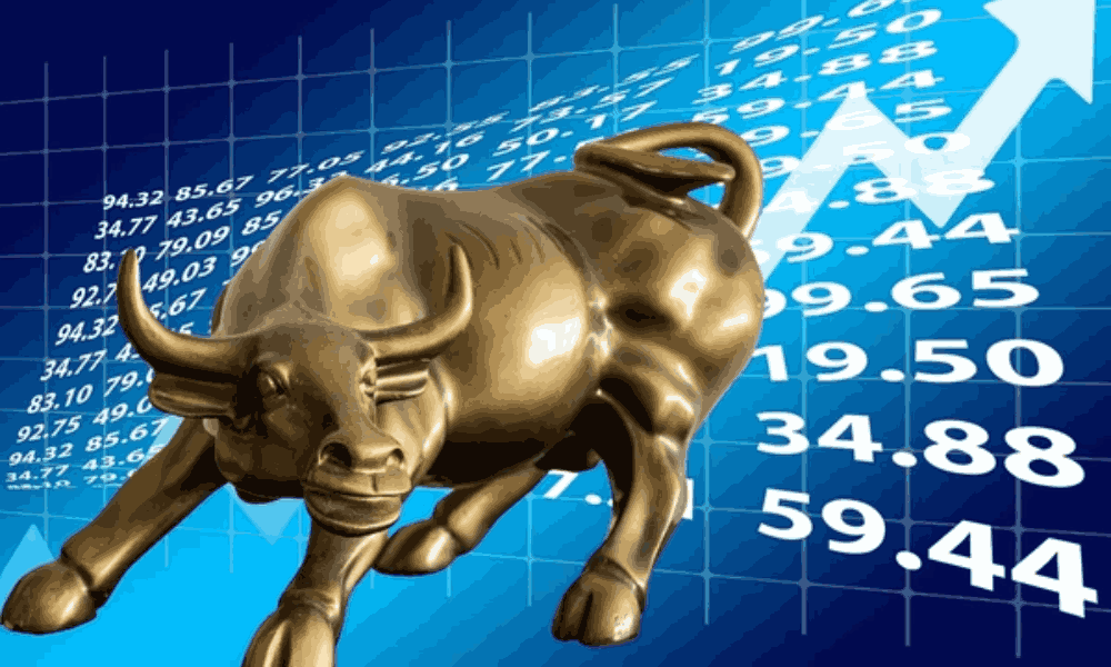Bull market và Bear market là gì? Cách nhận diện 2 loại thị trường này 2 bull market là gì