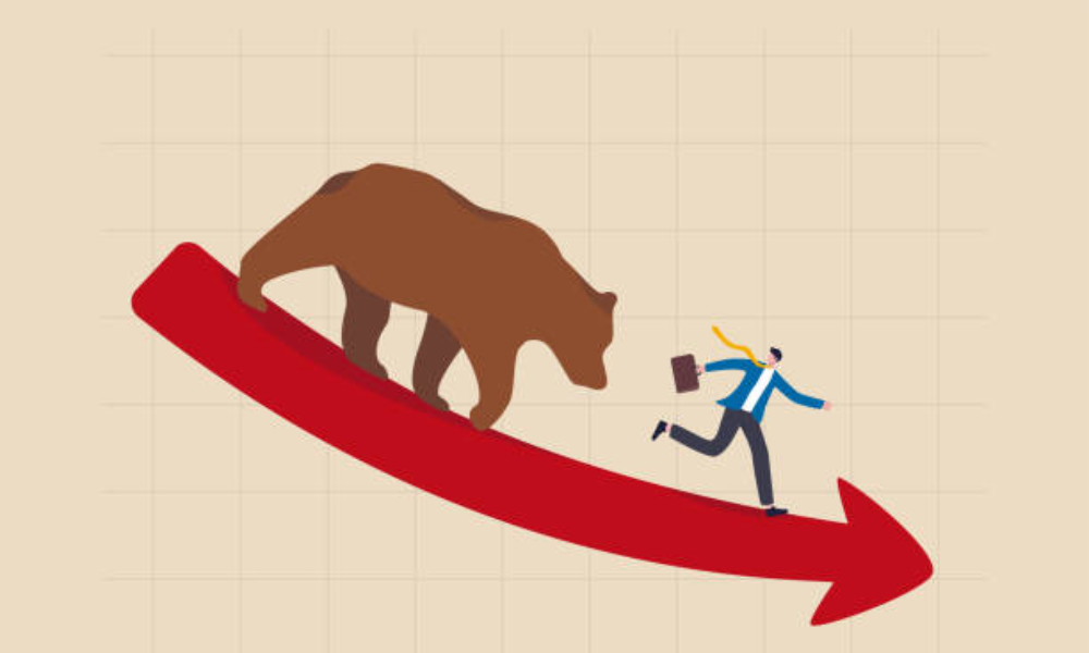 Bull market và Bear market là gì? Cách nhận diện 2 loại thị trường này 5 chiến lược đầu tư với Bear Market