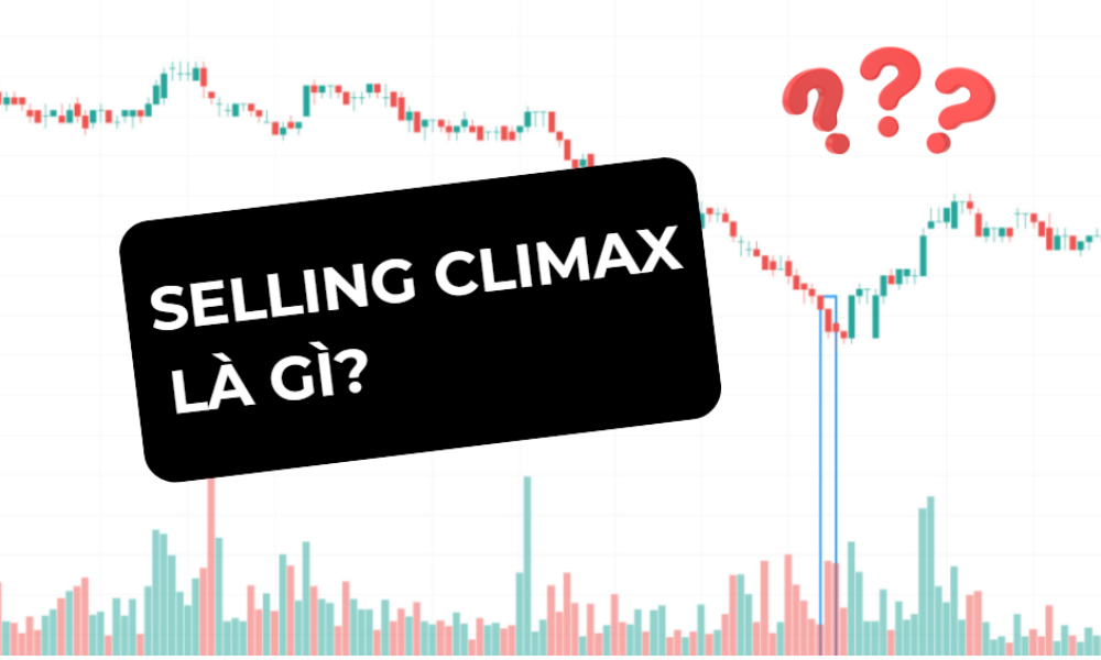 Selling Climax là gì? Cách giao dịch forex hiệu quả với selling climax 4 selling climax