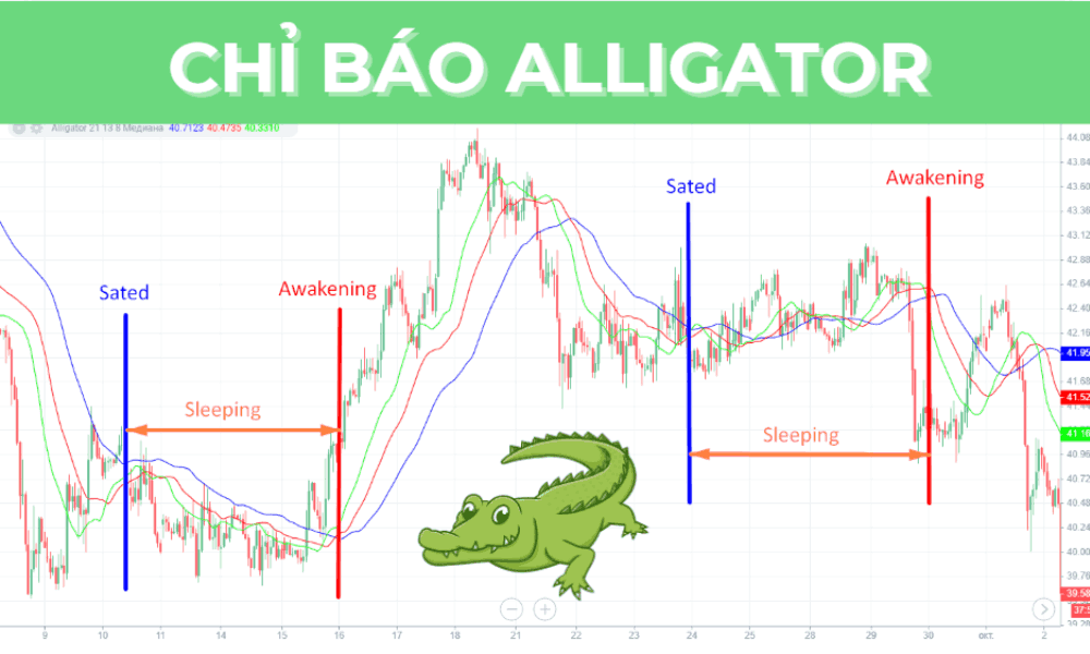 Chỉ báo Alligator là gì? Cách áp dụng chỉ báo Alligator trong forex 9 chỉ báo Alligator