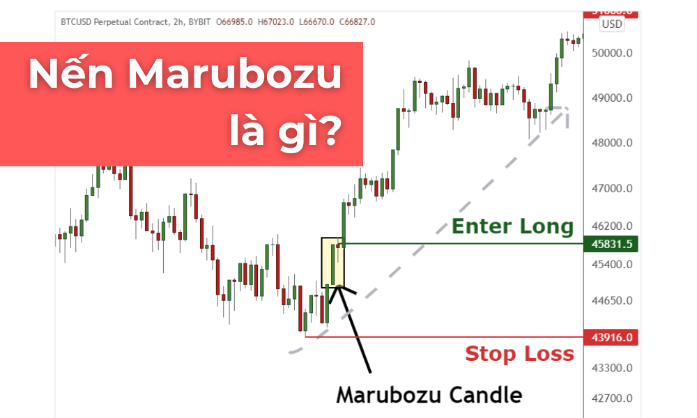 Mô hình nến Marubozu là gì? Các mô hình nến marubozu phổ biến 8 nến marubozu