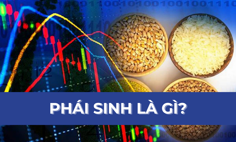 Phái sinh là gì? Tìm hiểu chức năng và vai trò chính của phái sinh 9 phái sinh là gì