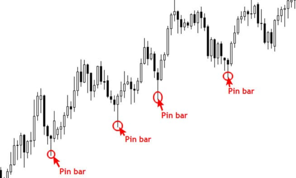 Nến Pin Bar là gì? Các lỗi cần tránh khi giao dịch bằng pin bar 2 Pin Bar là gì?