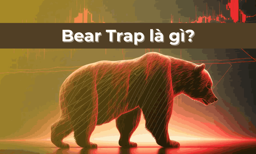 Bear Trap là gì? Dấu hiệu nhận biết Bear Trap trong giao dịch 8 bear trap