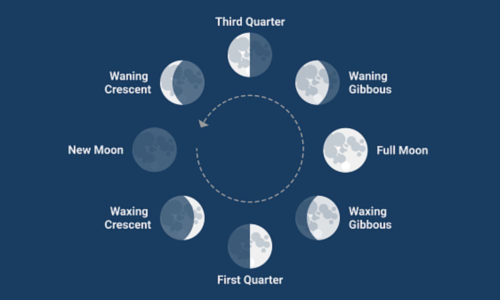 Khám phá chiến lược Lunar Cycle Trading mới lạ trong giao dịch Forex 2 Giao dịch theo chu kỳ mặt trăng