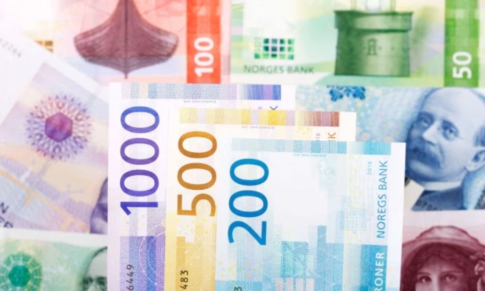 NOK là gì? Những yếu tố ảnh hưởng trực tiếp đến giá trị của đồng NOK 3 NOK là phương tiện thanh toán chính tại Na Uy