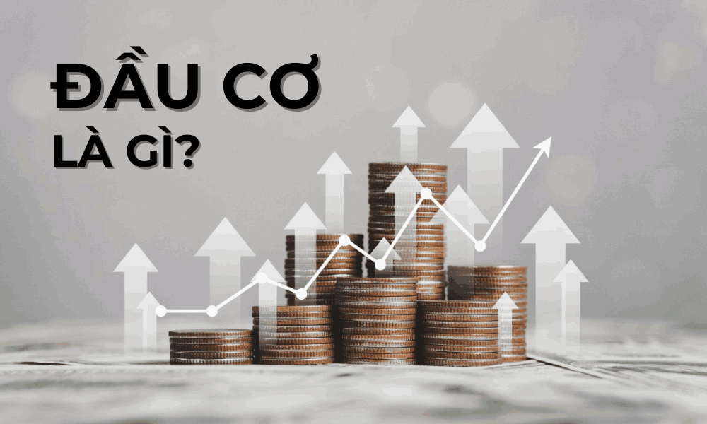 Đầu cơ là gì? Phân biệt giữa giao dịch đầu cơ và đầu tư 2 tìm hiểu về đầu cơ