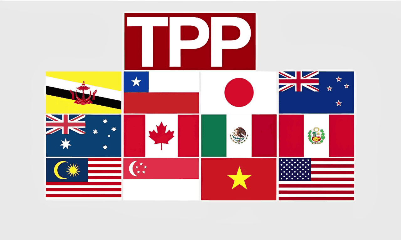 TPP là gì? Những tác động của TPP đến nền kinh tế Việt Nam 1 tìm hiểu về tpp