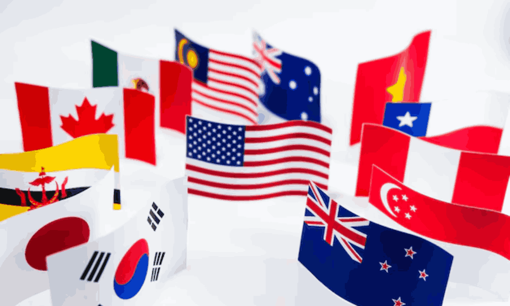 TPP là gì? Những tác động của TPP đến nền kinh tế Việt Nam 2 tpp là gì