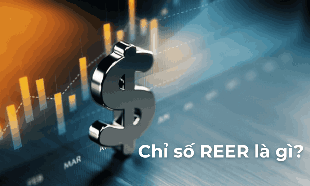 Chỉ số REER là gì? Cách diễn giải sự thay đổi của Chỉ số REER 1 Chỉ số REER