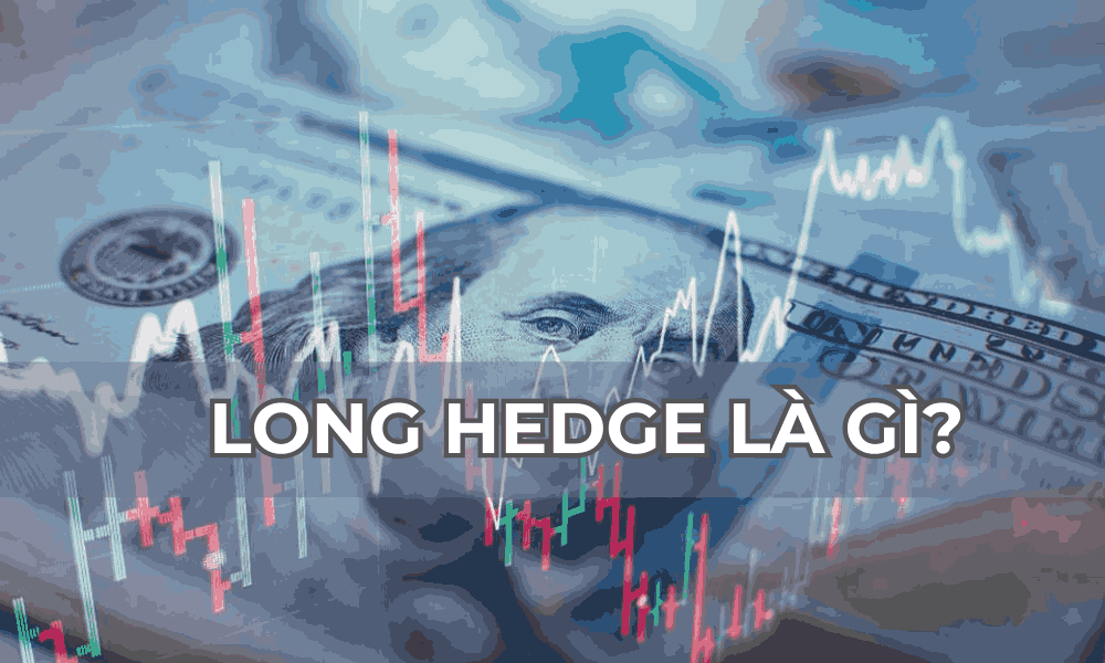 Long Hedge là gì? Mục đích sử dụng Long Hedge trong Forex 1 Long hedge là gì
