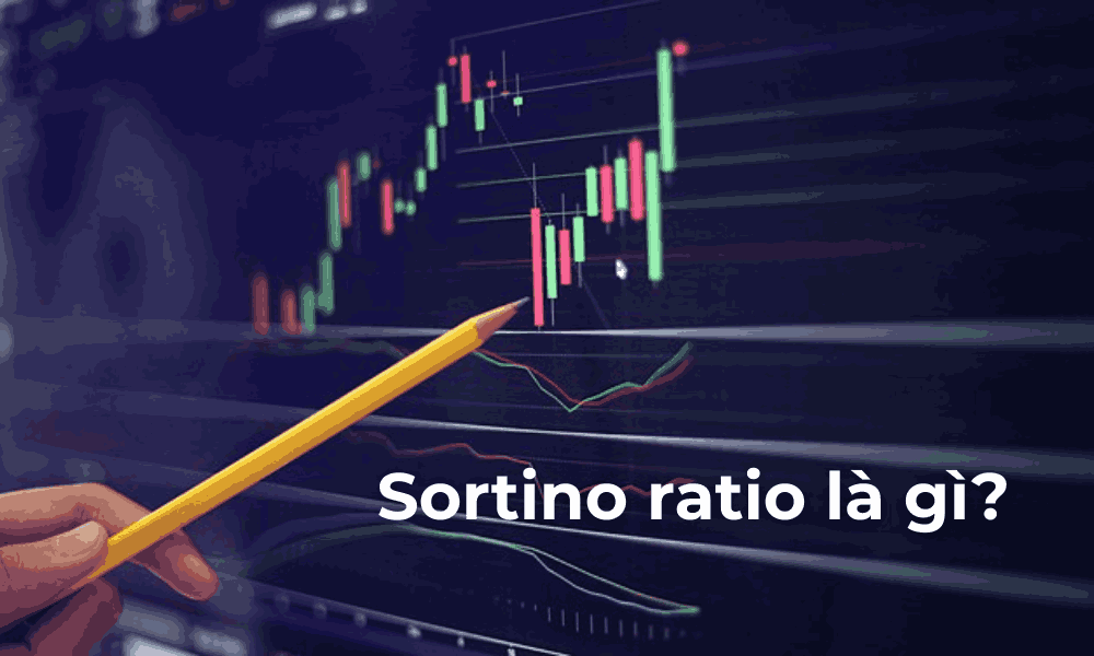Sortino ratio là gì? Ý nghĩa và công tính tính Sortino ratio 1 Sortino ratio 11zon