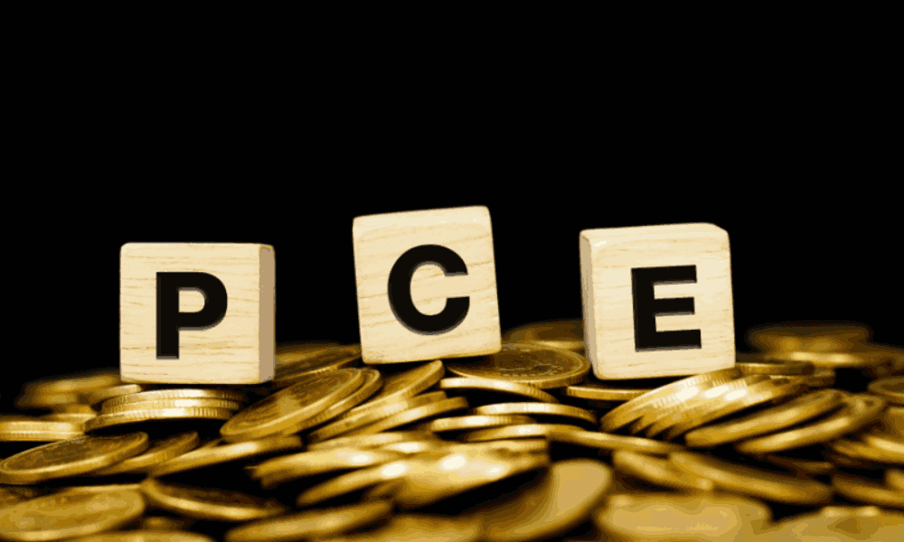 PCE là gì? Chỉ số PCE ảnh hưởng đến thị trườn Forex như thế nào? 1 chỉ số pce