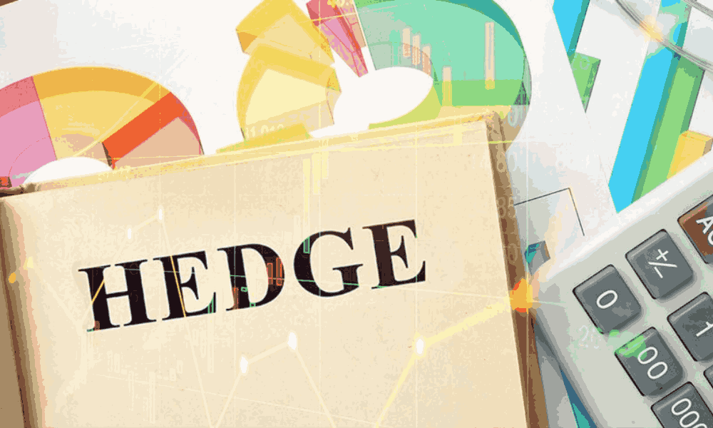 Long Hedge là gì? Mục đích sử dụng Long Hedge trong Forex 2 định nghĩa long hedge