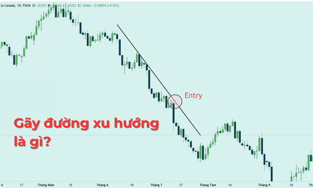 Gãy đường xu hướng là gì? Khi gãy đường xu hướng, nhà đầu tư cần làm gì? 8 Gãy đường xu hướng