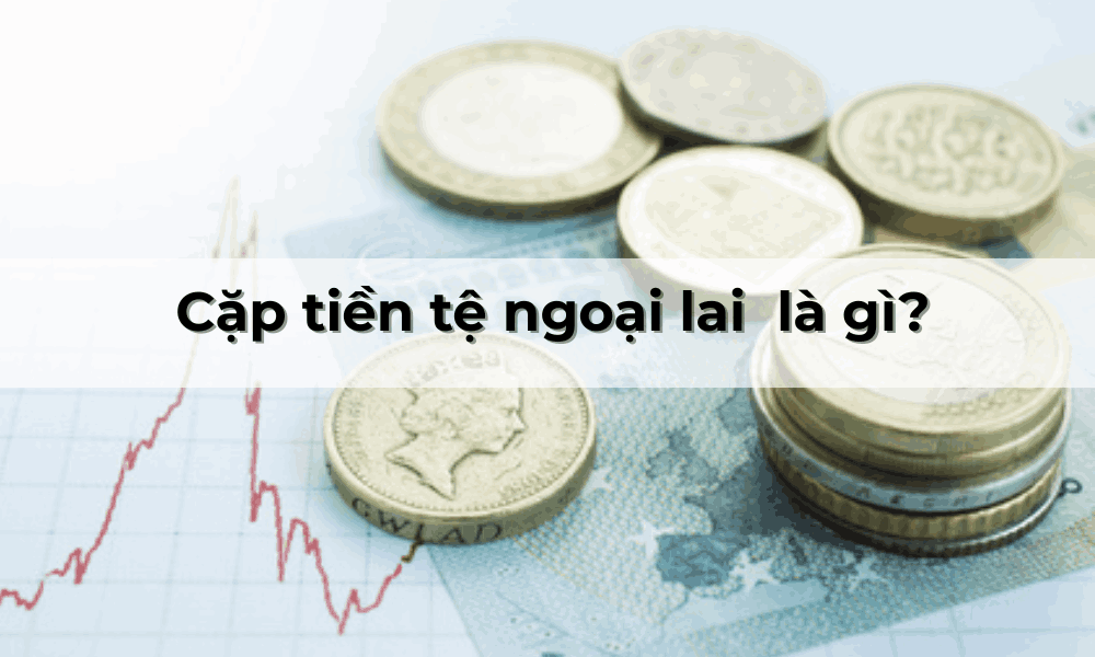 Cặp tiền tệ ngoại lai là gì? Rủi ro khi giao dịch các cặp tiền này 4 cặp tiền ngoại lai