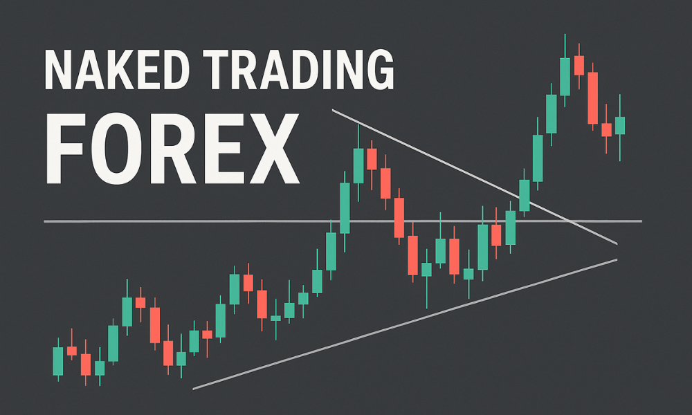 Naked Trading là gì? Ưu điểm và nhược điểm của Naked Trading 8 naked trading