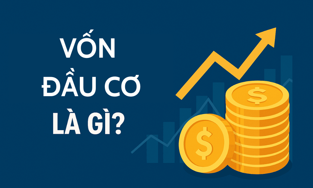 Vốn đầu cơ là gì? Vốn đầu cơ ảnh hưởng đến Forex như thế nào? 2 vốn đầu cơ