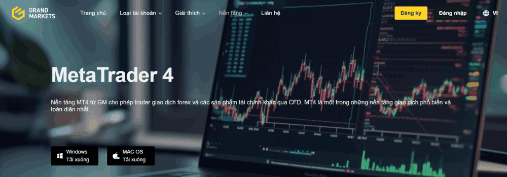 Sàn Grand Markets có lừa đảo không? Đánh giá sàn Grand Markets 4 Nền tảng giao dịch MT4