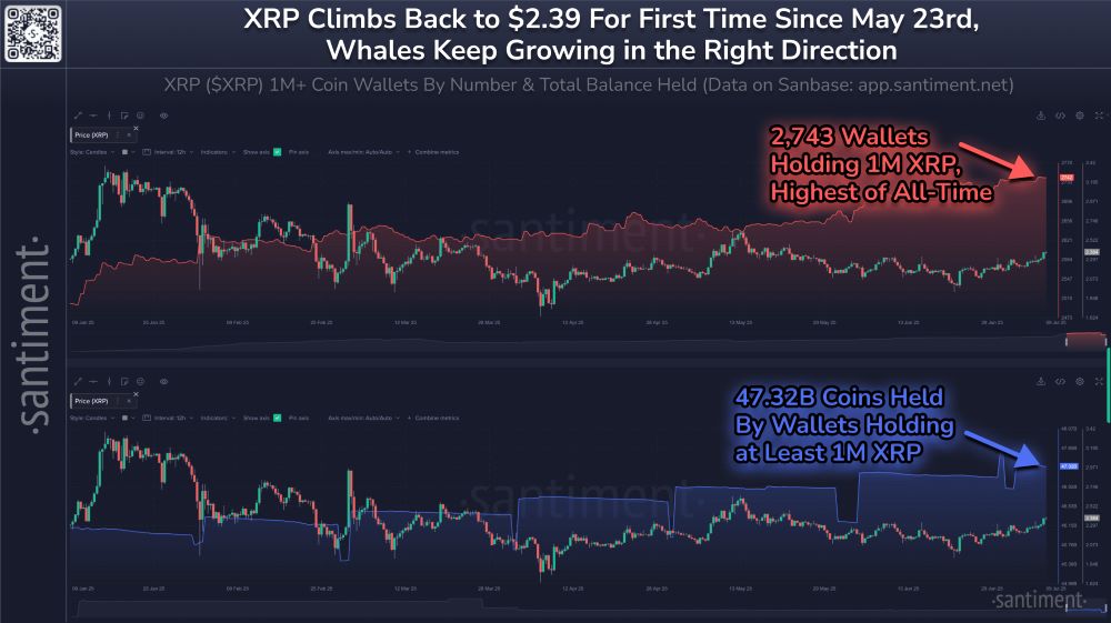 XRP vs ETH: Token nào đang thực sự thống trị thị trường? 3 Cá voi tích luỹ XRP