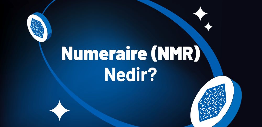 Numeraire là gì? Đánh giá NMR mới nhất 2025 4 Hệ sinh thái Numeraire