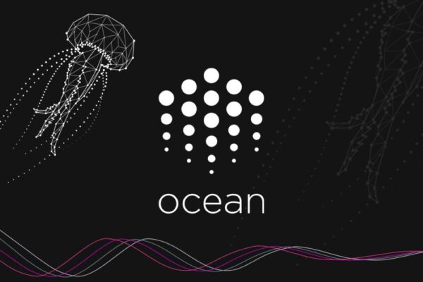 Ocean Protocol là gì? Đánh giá OCEAN mới nhất 2025 7 Ocean Protocol là gì? Đánh giá OCEAN mới nhất 2025