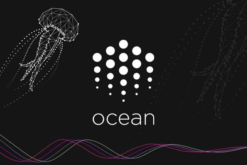 Ocean Protocol là gì? Đánh giá OCEAN mới nhất 2025 3 Ocean Protocol là gì? Đánh giá OCEAN mới nhất 2025