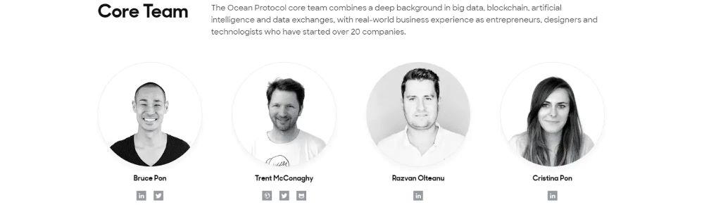 Ocean Protocol là gì? Đánh giá OCEAN mới nhất 2025 6 Đội ngũ phát triển, nhà đầu tư và đối tác