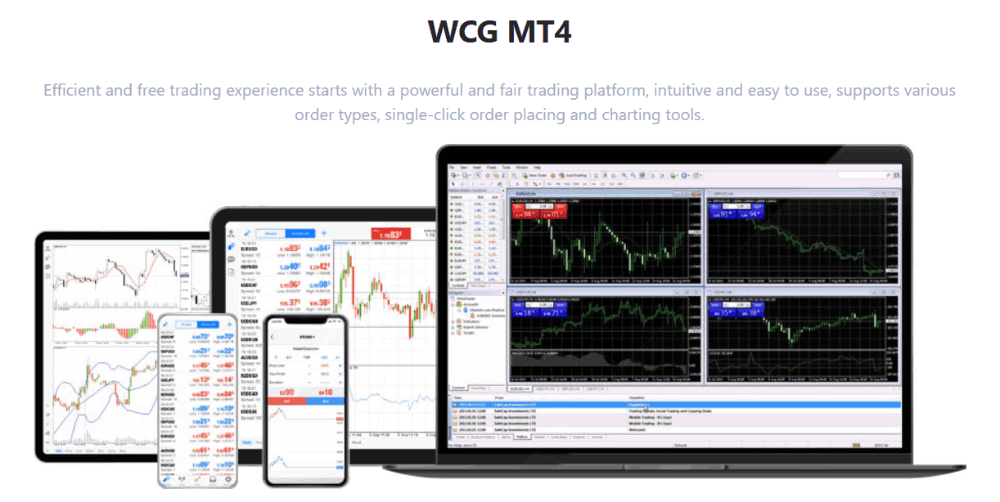 Sàn WCG Markets có uy tín không? Đánh giá chi tiết sàn 2025 4 Nền tảng giao dịch MT4