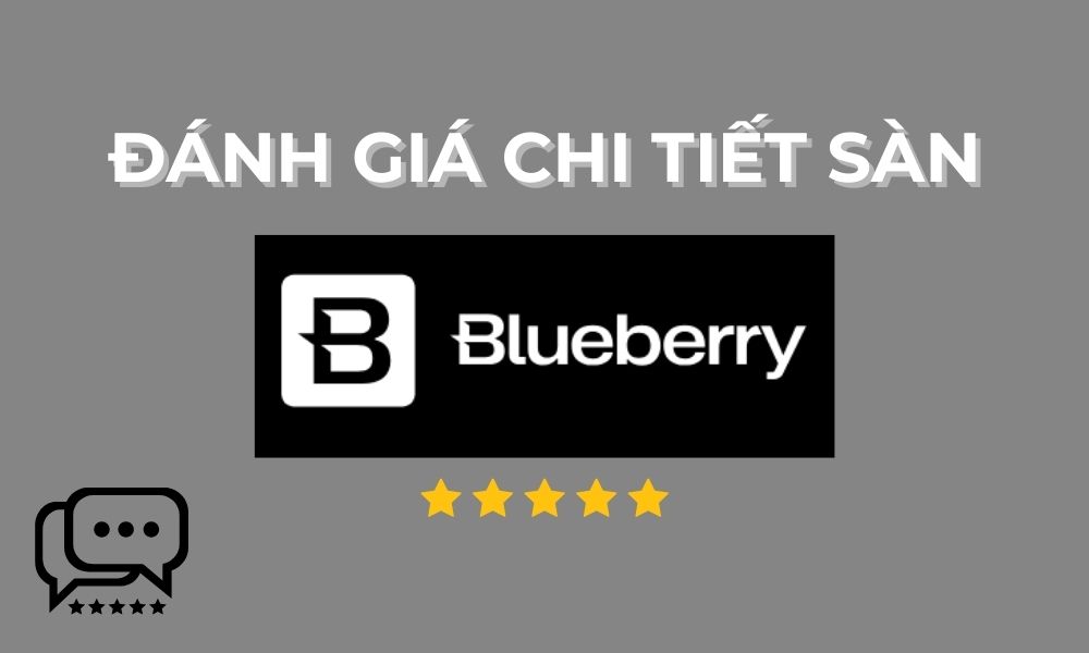 Sàn Blueberry có lừa đảo không? Đánh giá chi tiết sàn 2025 9 đánh giá sàn blueberry