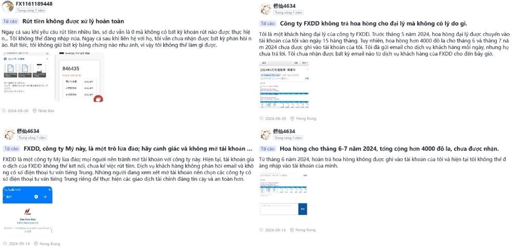 Sàn FXDD có uy tín không? Đánh giá sàn năm 2025 4 Phản hồi từ người dùng sàn FXDD