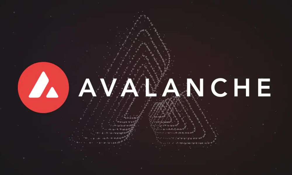 Avalanche là gì? Đánh giá AVAX chi tiết nhất 2026 4 Avalanche nổi bật trong thị trường blockchain