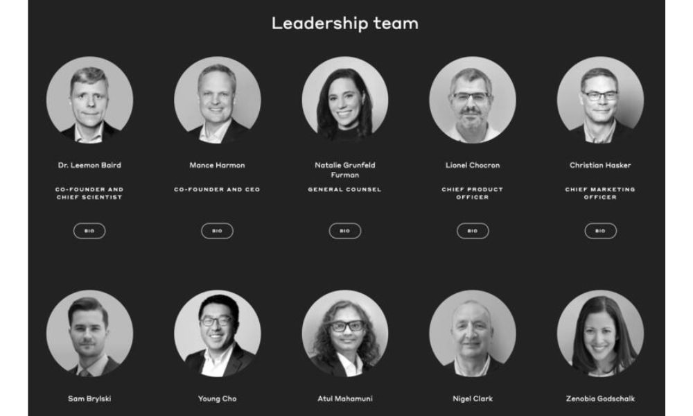 Hedera là gì? Tổng quan về token HBAR mới nhất 2026 4 Đội ngũ phát triển Hedera