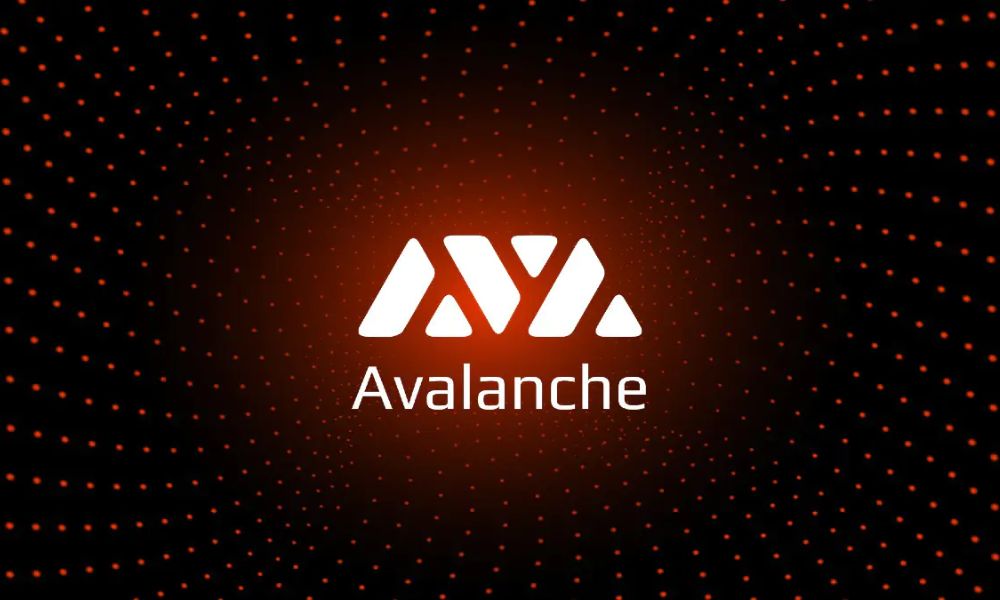 Avalanche là gì? Đánh giá AVAX chi tiết nhất 2026 7 Hệ sinh thái Avalanche