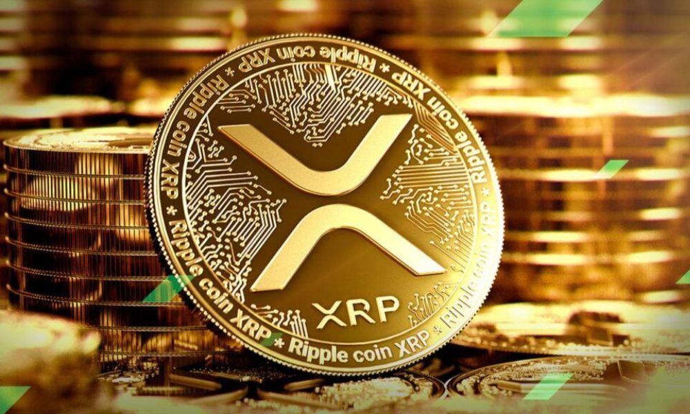 Hệ sinh thái của XRP