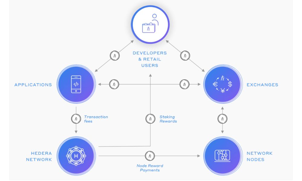 Hedera là gì? Tổng quan về token HBAR mới nhất 2026 3 Hệ sinh thái Hedera