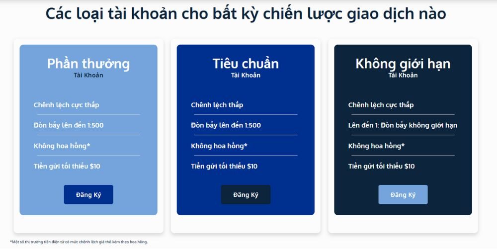 thông tin các loại tài khoản