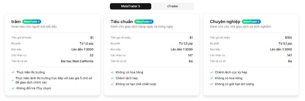 Sàn Emar Markets có uy tín không? Đánh giá chi tiết sàn 2025 3 thông tin các loại tài khoản sàn emar markets