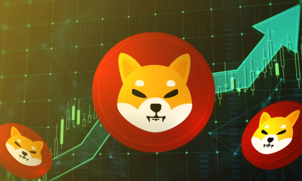 tìm hiểu về shiba inu