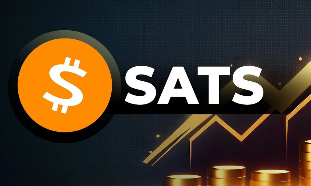 BRC-20 là gì? Top 3 token BRC-20 tiềm năng nhất hiện nay 6 Top 3 token BRC-20 - SATS
