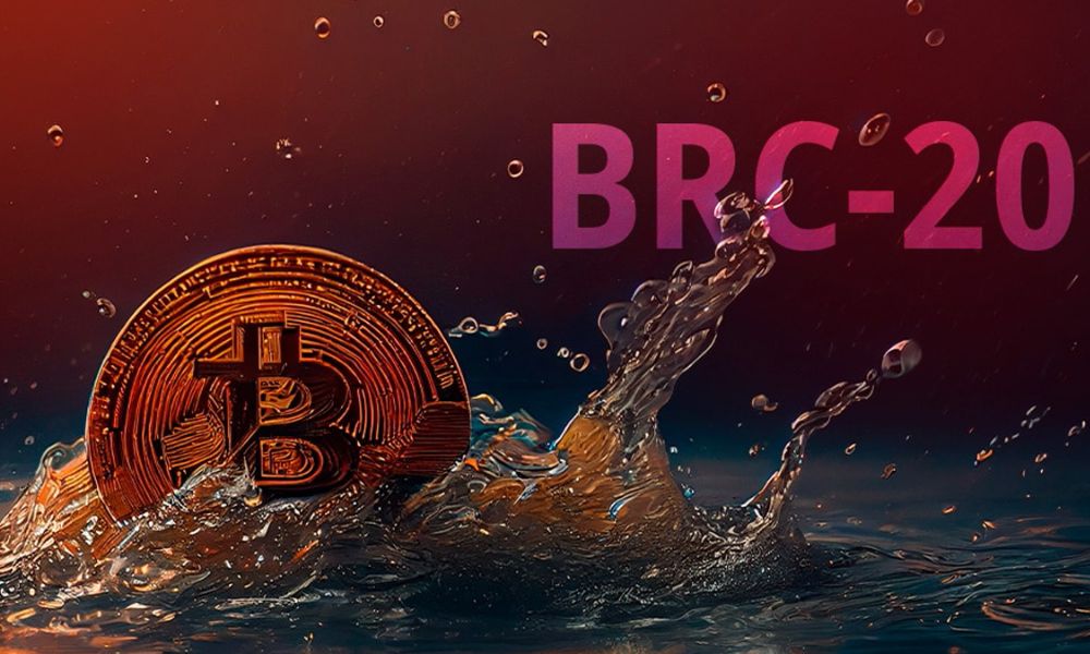 BRC-20 là gì? Top 3 token BRC-20 tiềm năng nhất hiện nay 4 Ưu và nhược điểm của tiêu chuẩn BRC-20