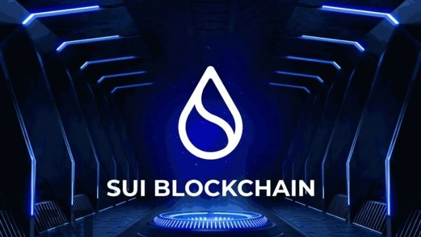 Sui (SUI) là gì? Có nên đầu tư vào Sui không? 2 Sui blockchain