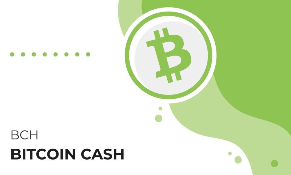 Bitcoin Cash là gì? Đánh giá BCH chi tiết nhất 2026 1 Bitcoin Cash là gì? Đánh giá BCH chi tiết nhất 2025