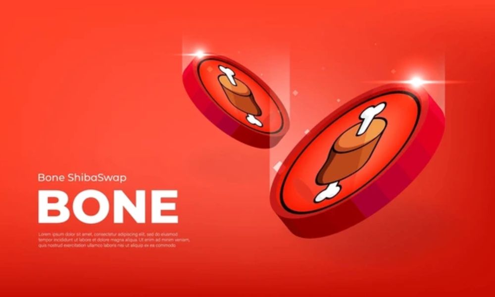 Bone ShibaSwap là gì? Tổng quan dự án, token và cộng đồng BONE 1 bone shibaswap