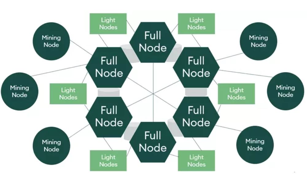 Node là gì? Các loại Node cần biết trong thế giới tiền mã hóa 3 các loại node trong blockchain