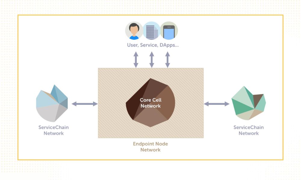 cấu trúc hoạt động của kaia