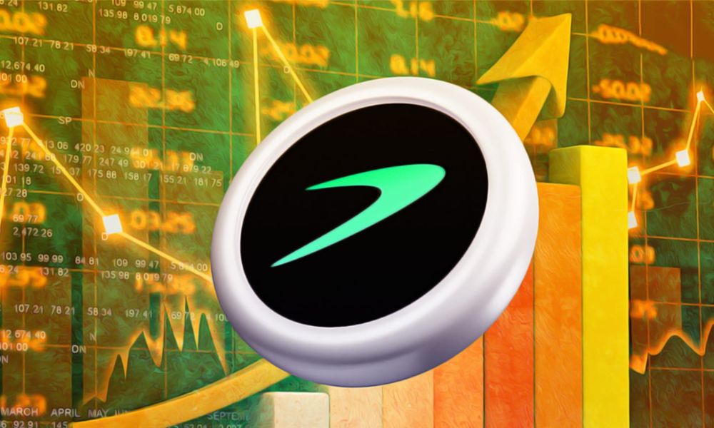 Cung cấp dữ liệu tùy chỉnh