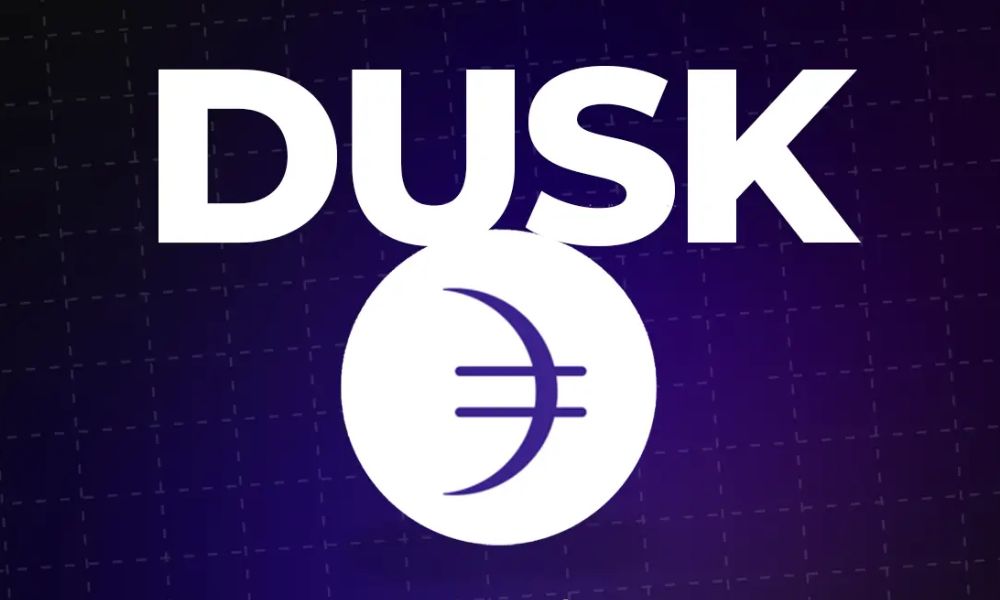 Dusk Network là gì? Mạng lưới riêng tư tối ưu cho tài chính 1 dusk network là gì