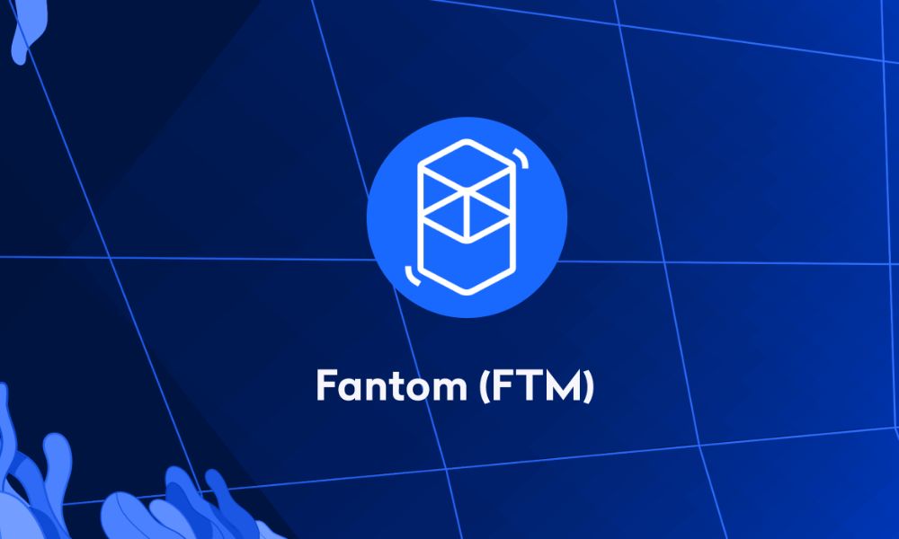 Fantom (FTM) là gì? Toàn cảnh đầu tư vào FTM trong tương lai 1 fantom là gì