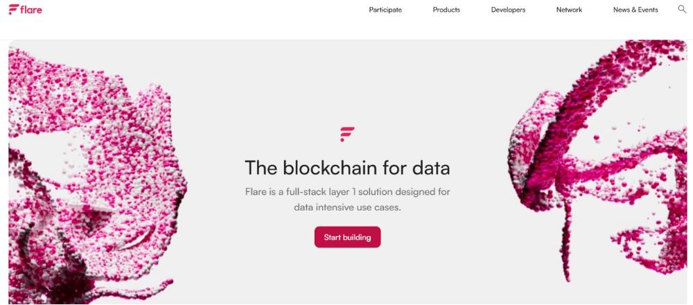 Flare là gì? Hé lộ sức mạnh và cơ hội đầu tư khủng 2 Giao diện website Flare